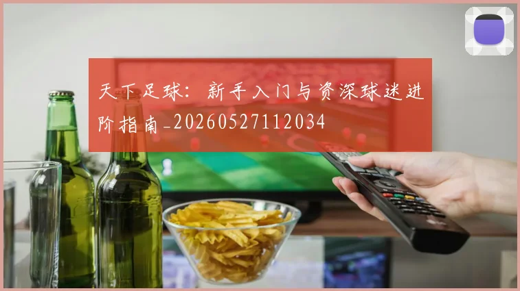 天下足球:新手入门与资深球迷进阶指南_20260527112034