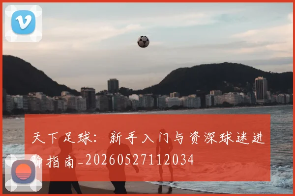 天下足球：新手入门与资深球迷进阶指南_20260527112034