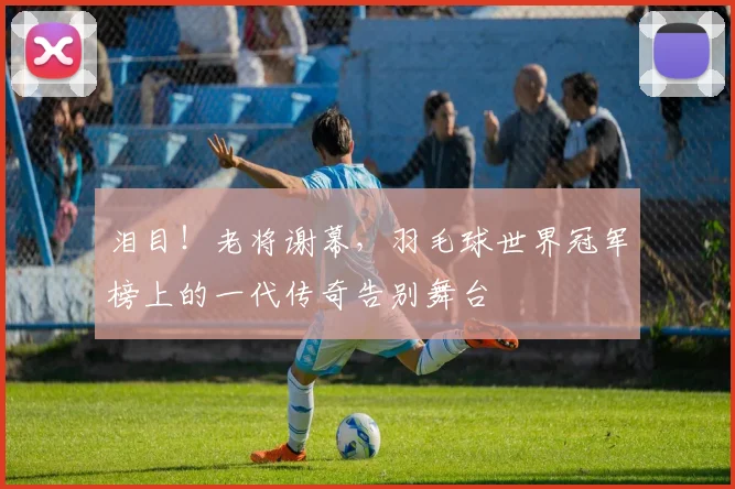 泪目！老将谢幕，羽毛球世界冠军榜上的一代传奇告别舞台