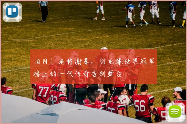 泪目!老将谢幕,羽毛球世界冠军榜上的一代传奇告别舞台