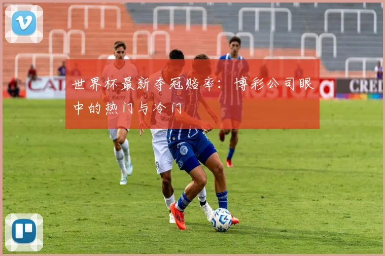 世界杯最新夺冠赔率：博彩公司眼中的热门与冷门