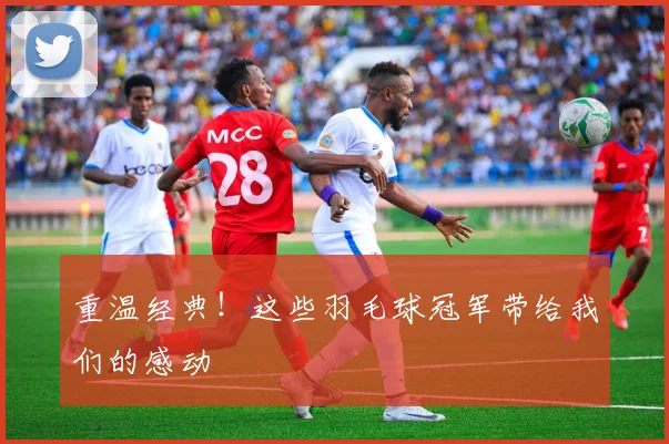 重温经典！这些羽毛球冠军带给我们的感动